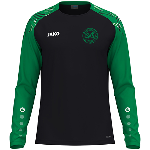 SV 19 Straelen Longsleeve Sonic KIDS
